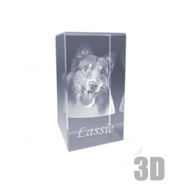 Bloc de verre rectangle vertical 13 cm - Gravure 3d Bloc de verre rectangle vertical 13 cm - Gravure 3d