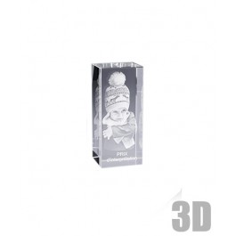 Bloc de verre vertical photo laser 3D Bloc de verre vertical photo laser 3D