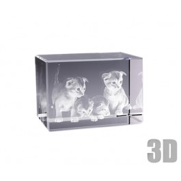 Bloc de verre horizontal photo laser 3D Bloc de verre horizontal photo laser 3D