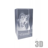 Bloc de verre rectangle vertical 13 cm - Gravure 3d