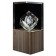 Socle lumineux illumination L Bois